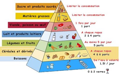 Conseil [7] a healthy lifestyle