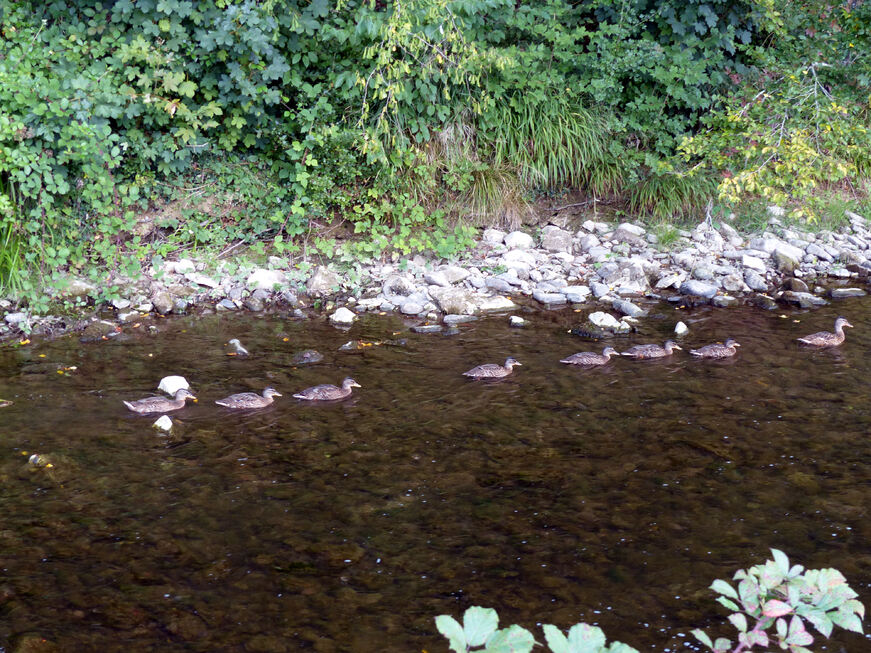 Balade en famille