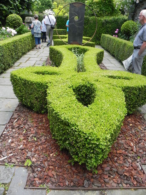 Le jardin de la rue du Lin 