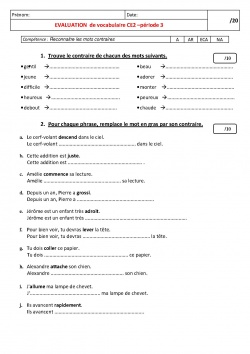 Evaluation Synonyme Et Contraire Ce2