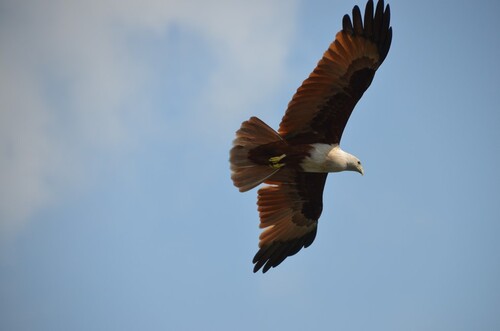 Langkawi 2