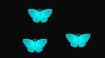 Papillons