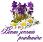 Violettes et cartonnettes !!!