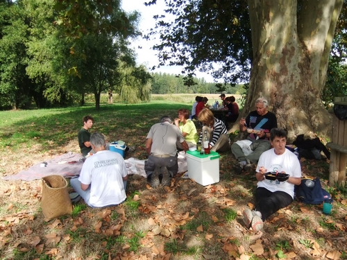 Le picnic