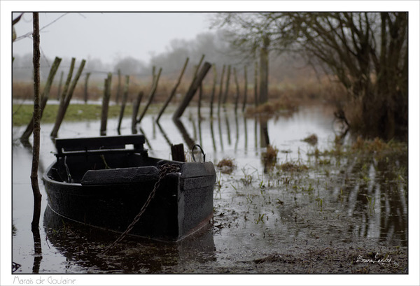 Le marais de  Goulaine