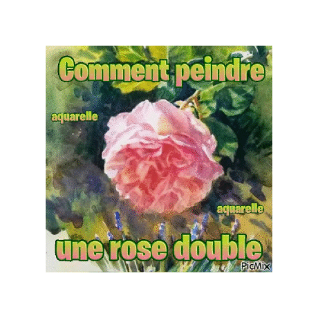 Dessin et peinture - vidéo 4029 : Comment peindre une rose double 1/2 ? - aquarelle.