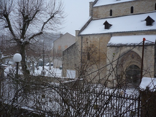 Catus sous la neige - 5 février 2012