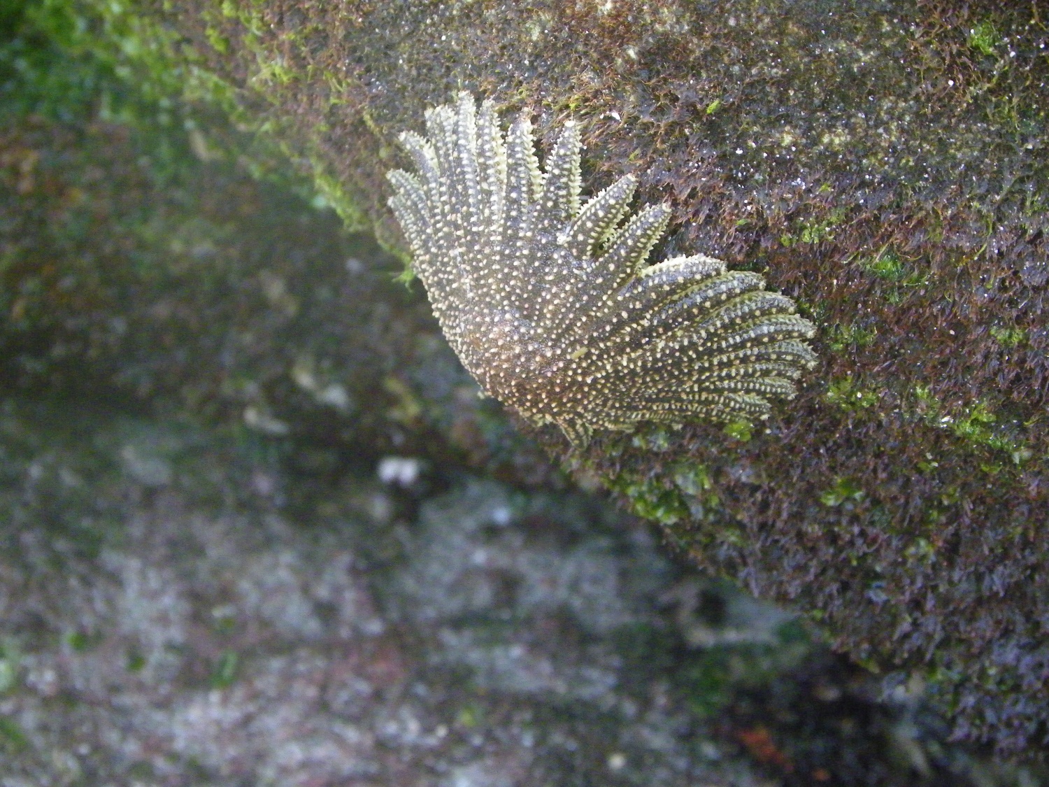 mer qui se rencontre