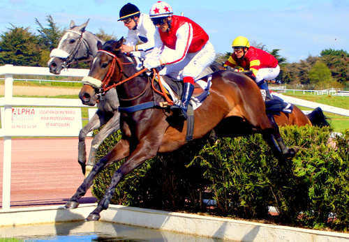 Hippodrome de la Baie Yffiniac - Réunion du 20 octobre 2013