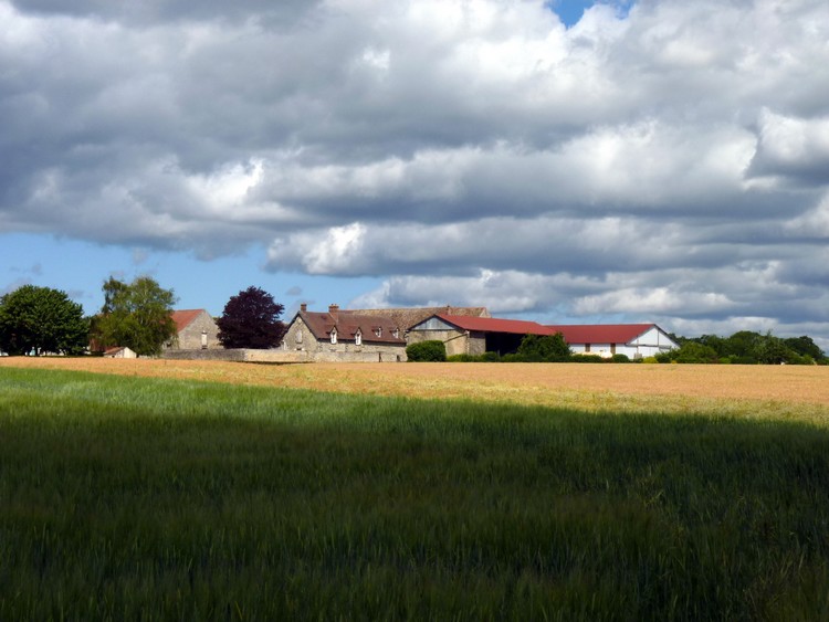 Ferme de la Grange-des-Bois