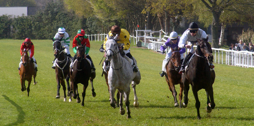 Hippodrome de Loudéac - Réunion du 16 et 17 avril 2017