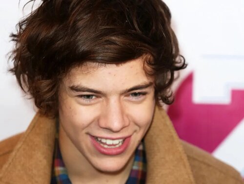 Harry Styles : "Bisexuel, moi ? Je suis pratiquement sûr que non..."