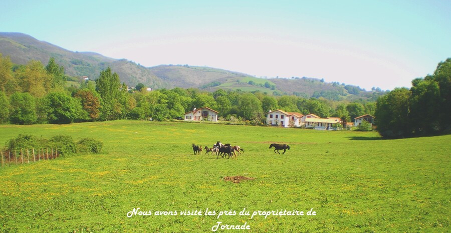 FIN FOND DU PAYS BASQUE...PAYS DES POTTIOKS