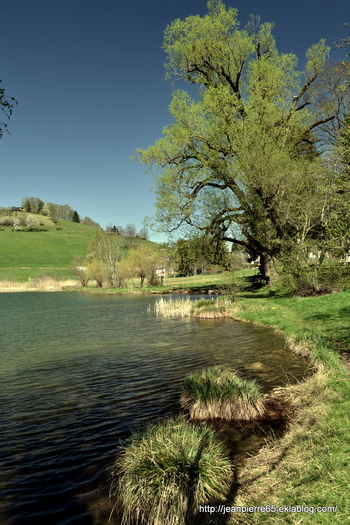 2015.04.24 Lacs de la Thuile et de St-André (Rhône-Alpes, Savoie) 2