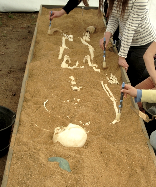 Des séances d'archéo-anthropologie  ont eu lieu au Musée du Pays Châtillonnais-Trésor de Vix durant les vacances de printemps 2019