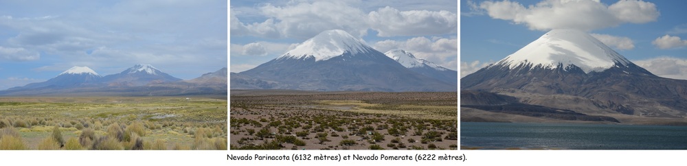 Parque Sajama