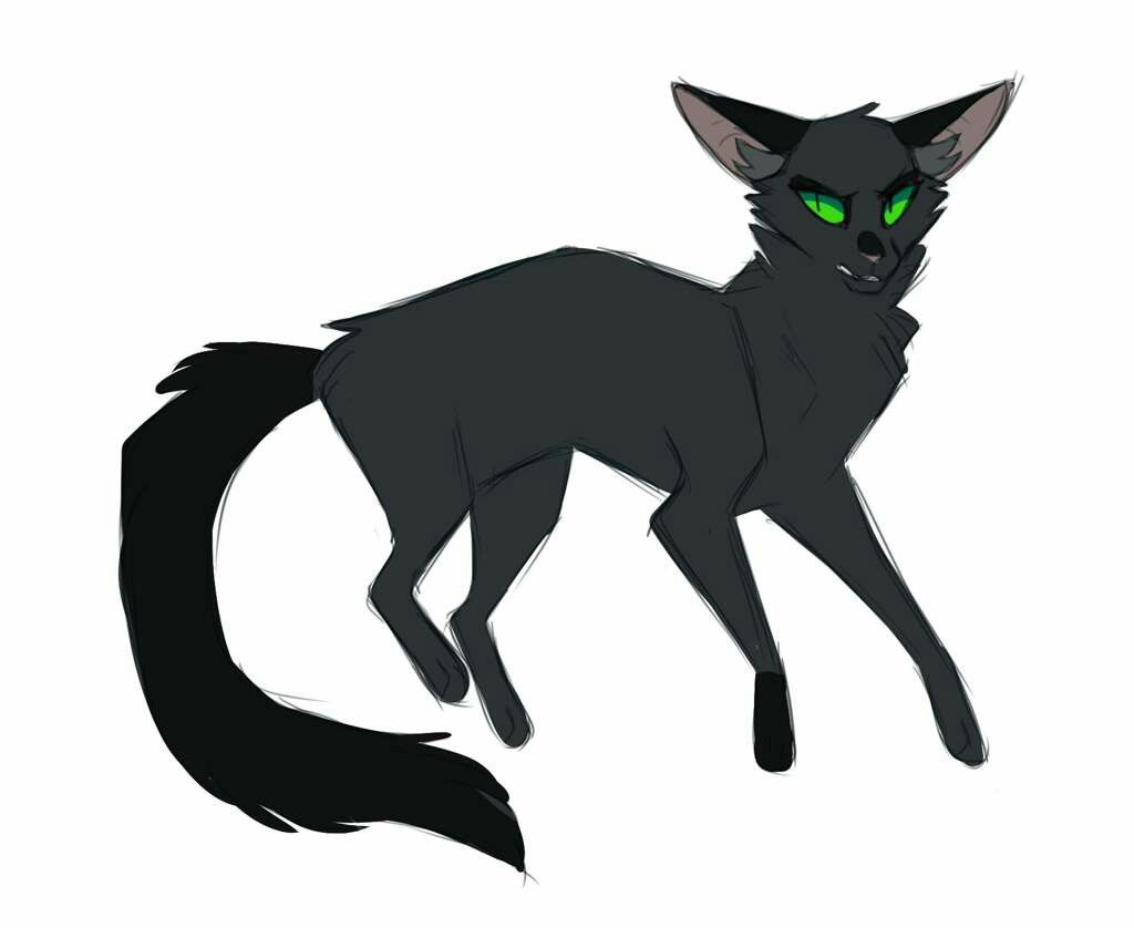 Hollyleaf(she-cat) | Warrior cats art, Warrior cat drawings, Warrior cats