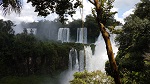 Les chutes d'Iguazu