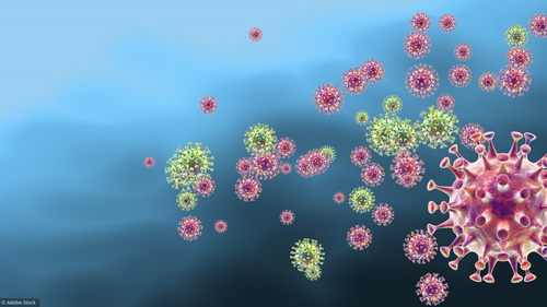 Coronavirus-2_79a5adf1d3d1cfca8856719bfe82f14a