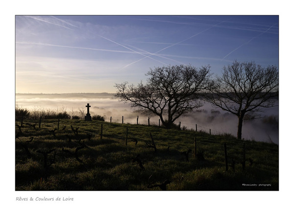 Loire 2017