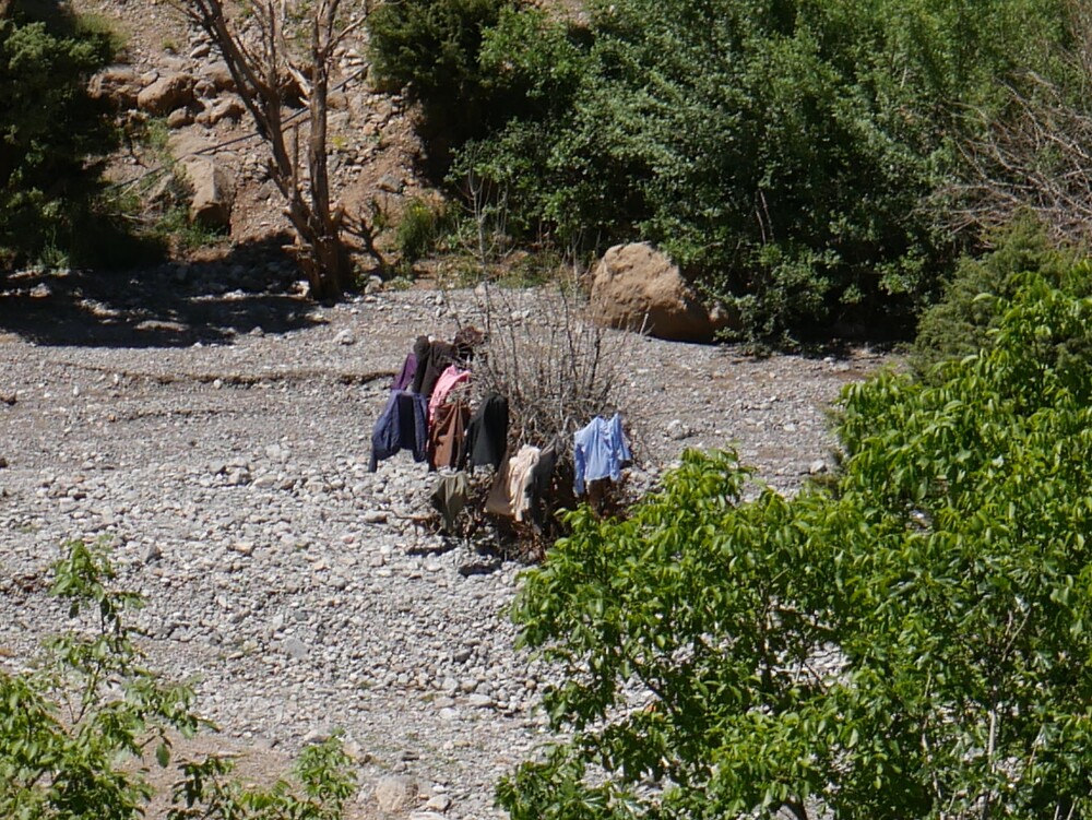 Randonnée dans les gorges de Taghia (2)