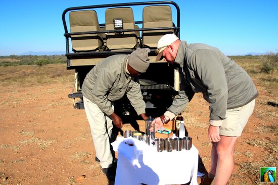 AFRIQUE du SUD : juin 2018: 3ème safari 2/2