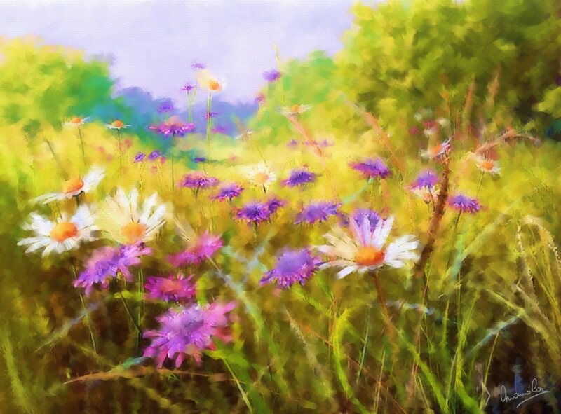 prairie de fleurs 