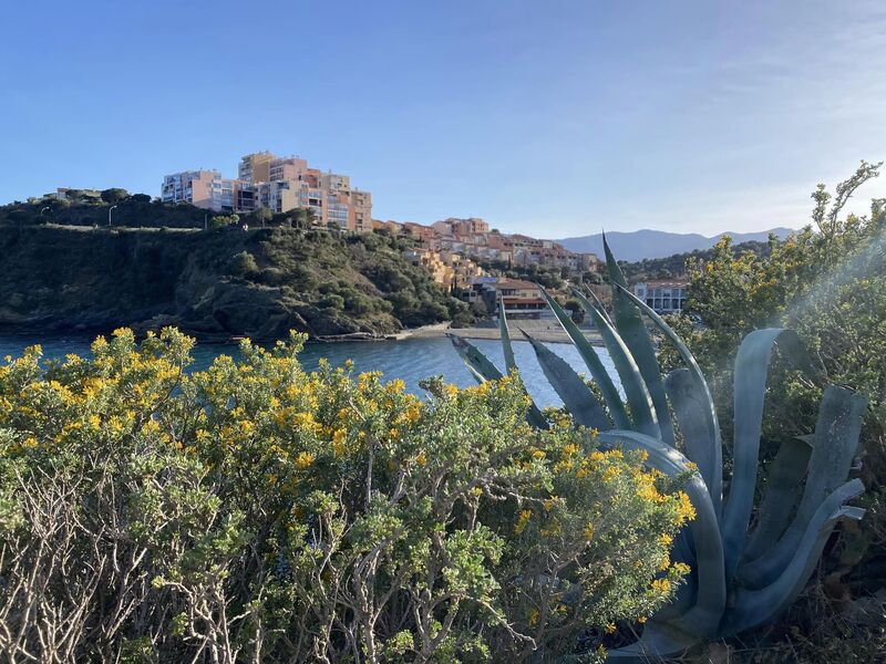 Sentier du littoral (Epilogue)