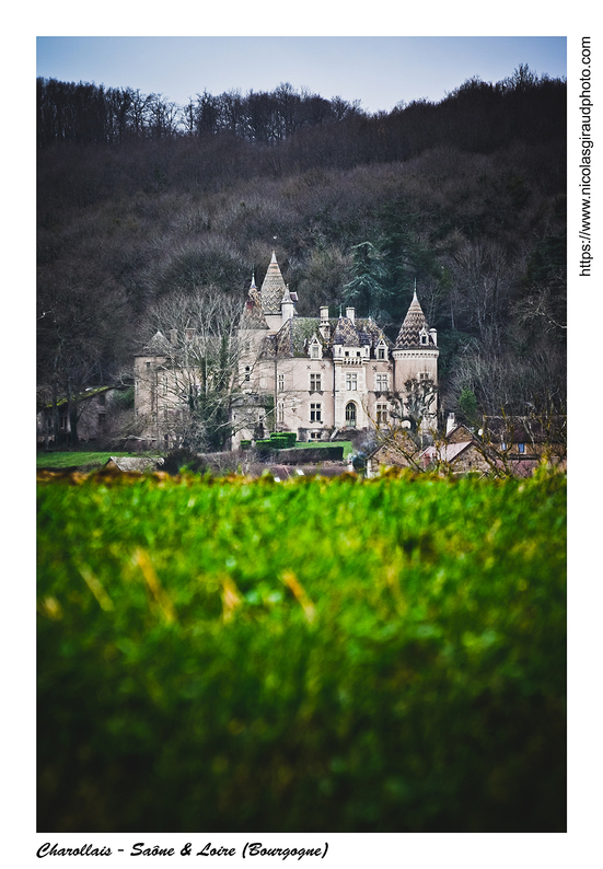 Ordre clunisien entre Brionnais & Charollais