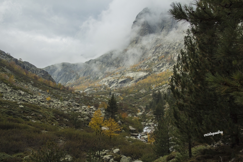 Brumes d'automne