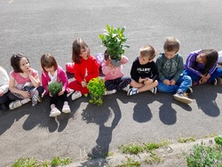 maternelle : classe dehors du mois de juin