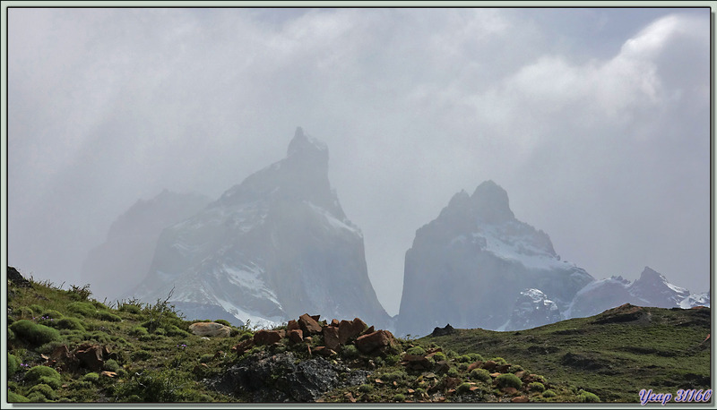 Cuernos Del Paine - Parque Torres del Paine - Patagonie - Chili