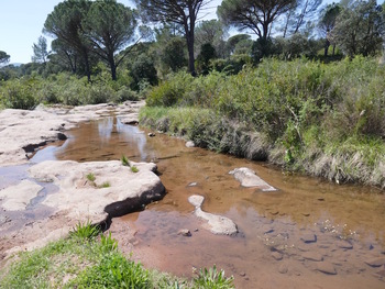 Le gué sur le ruisseau de la Font des Anguilles