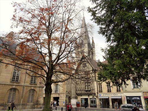 Dijon: autour du palais des Ducs de Bourgogne (photos)