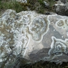 Lichen sur la crête au-dessus du Paso del Oso