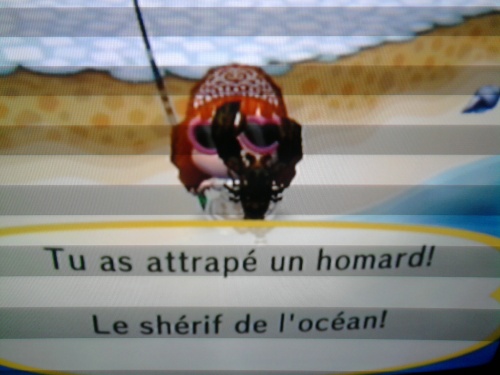 La pêche c'est mon truc ! 