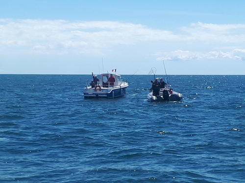 Samedi 11 juillet , traditionnelle partie de pêche à Diélette