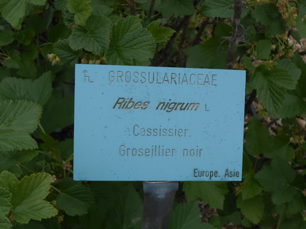 Muséum Jardin Botanique