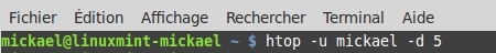 Utilisation du moniteur système HTOP
