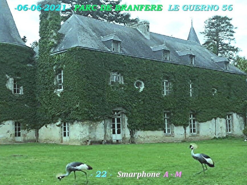  PARC ANIMALIER:  2/4  Branféré  LE GUERNO  56  D   20-04-2022