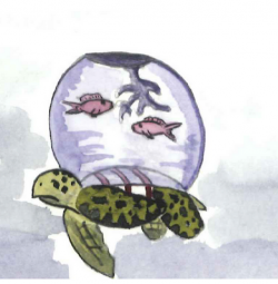 Lizie et la carapace multicolore suite