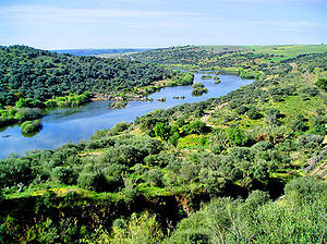 http://upload.wikimedia.org/wikipedia/commons/thumb/4/41/Guadiana_river.jpg/300px-Guadiana_river.jpg