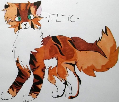 Eltic