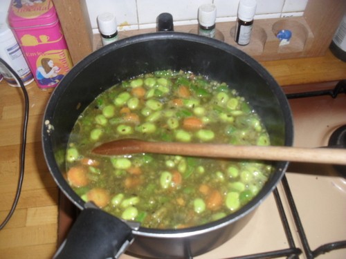 curry de lentille et riz au petit légumes...pour un apport en protéine végétales