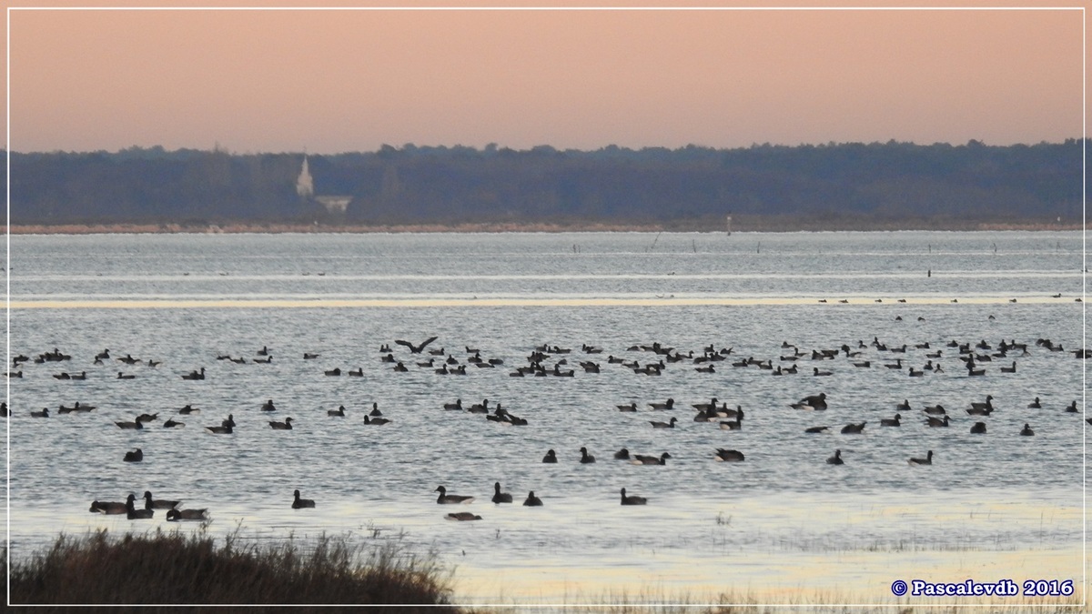 Plage et port de La Hume - Bassin d'Arcachon - Décembre 2016 - 7/10