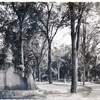 poitiers jardin 1958 vienne