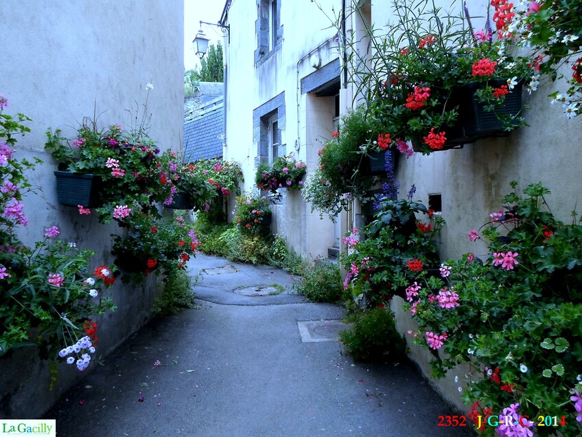 EXPOSITION PHOTO LA GACILLY 56  3/3  12/08/2014