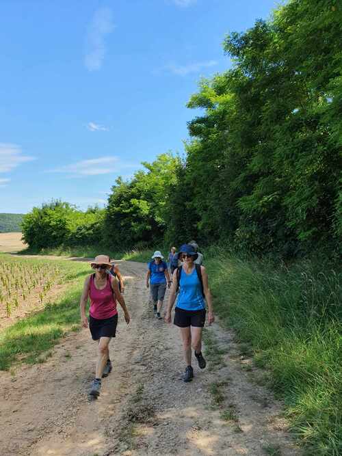 CR RANDO DES VIGNES BRULEY 08/07/2024