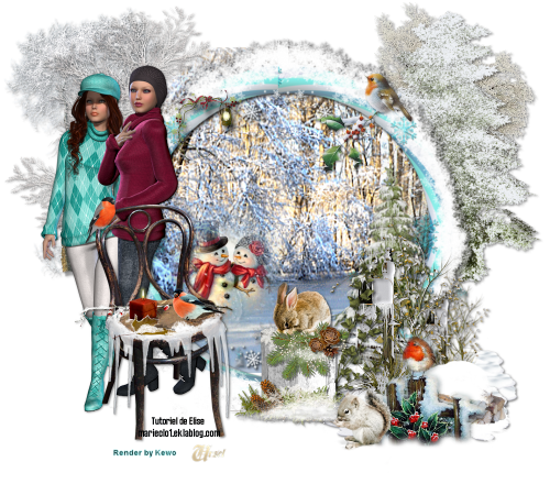 Der Winter breitet sein weißes Kleid aus