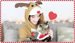 Vendredi 18 décembre - Sweetie : Idées cadeaux de Noël pour chats + DIY